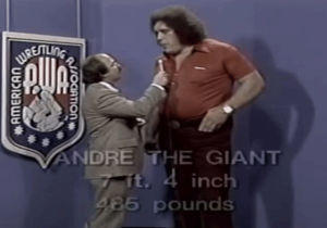 andre the giant,wwe