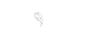 Bounce animation test tv paint GIF - Find on GIFER