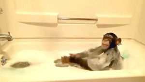 funny,monkeys,baths