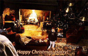 ron weasley,harry potter and the philosophers stone,love,happy,christmas,harry potter,hp,daniel radcliffe,rupert grint,presents