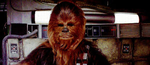 chewbacca,boss,like a boss,mlg,da man,ayyy,saturday,star wars,vibes,tgif,space,cool,style,friday,weekend,feels,deal with it,chill,mood,ay,ayy,ayyyy,da real boss