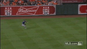 Texas rangers GIF on GIFER - by Melabar