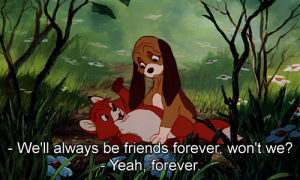 best friends,friendship,the fox and the hound