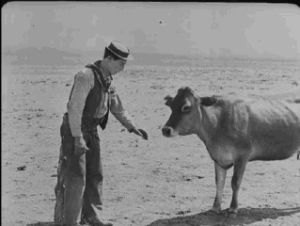 cow,silent film,freindship,animals,buster keaton,old hollywood,cows,classic cinema,vintage movies