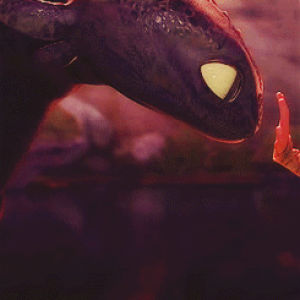 toothless,hiccup,how to train your dragon