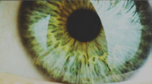 green eyes,photography,eyes,eye,pupil,dilation,april ross