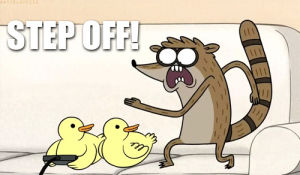 pic,rigby,mordecai and rigby,step off,a bunch of baby ducks,send them to the moon