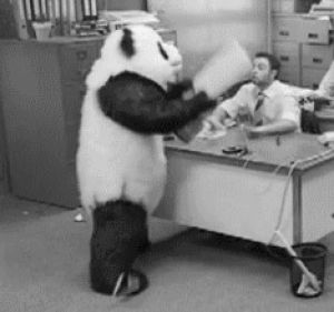angry,work,panda