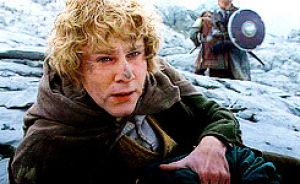 Merry gimli the lord of the rings GIF - Find on GIFER