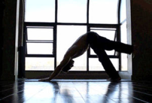 yoga,terminator genisys 2015