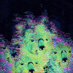 psychedelic,trippy,acid,lsd,rad,koala,fritzy,trippin koala,koala on acid,art design