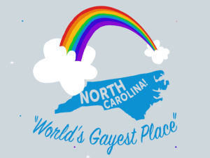 gay,rainbow,lgbt,pride,gay pride,north carolina,trans rights,tongue in cheek