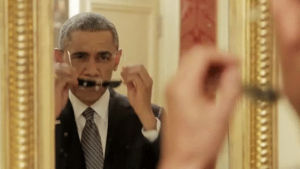 obama,mirror,deal with it