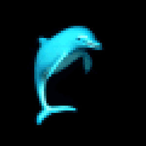 dolphin,8bit