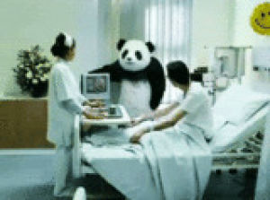 panda,funny,fantasy