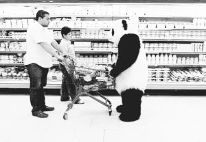 supermarket,never say no to panda,animals,pop,panda,hoppip,home video,misc,insane,imt,standing,kicking