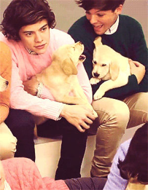 larry,passion,larry stylinson,love,dog,friends,smile,one direction,life,harry styles,louis tomlinson