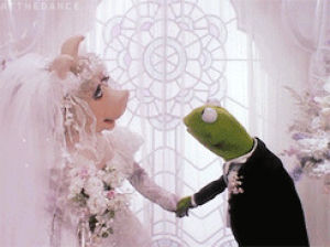 kermit the frog,miss piggy,kermit and piggy,the muppets,the muppets take manhattan,muppet s