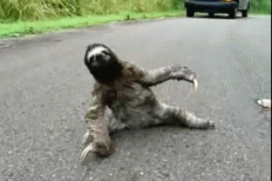 hangover,tired,hungover,ugh,fall over,mondays,sloth