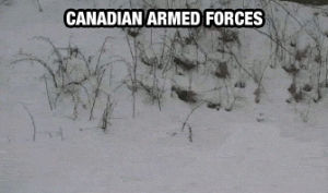 gun,snow,canada