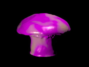 mushroom,psychedelic