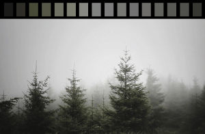 Tcm The Color Morale Strange Comfort Gif Find On Gifer