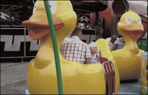 spinning,ride,duck,amusement park