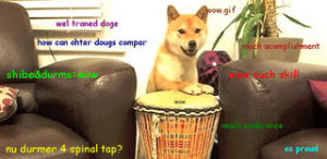 shibe,wow,doge,drum