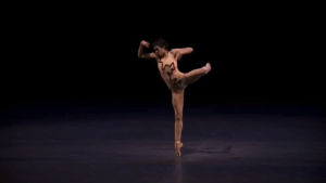 dance,ballet,dancer,stage,bug,ballerina,insect,new york city ballet,nycb,pointe,nycballet,lincoln center,the cage,jerome robbins,lauren lovette