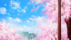 cherry blossom,sakura,petals,trees,pink,fantasy,google,scenery