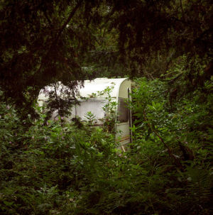 haunted house,forest,nino paulito,deer cottage