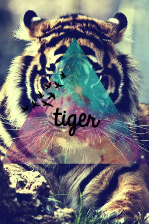 animals,tiger,triangle,technicolor