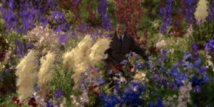what dreams may come,flowers,dog,dogs,paint,robin williams,dalmation,dalmations
