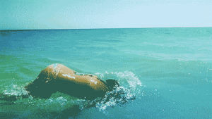 diving,swimming,sea,summer,animals,girl,water,beach,ocean,sun,human,happiness,dive