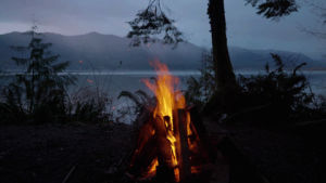 cinemagraph,campfire,lakeside