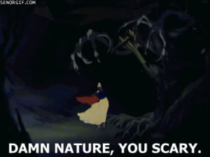 snow white,animation,nature,memes,scary,sad but true