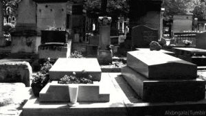 cementery,graveyard,alx,cat,kitty,death,black cat