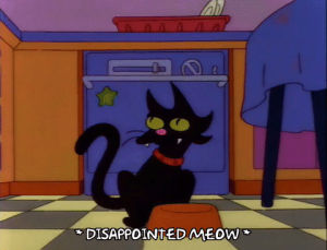 bart simpson,cat,season 3,episode 11,disappointed,3x11,snowball,hot food,got hit