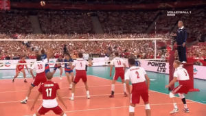 volley,volleyball,world championships