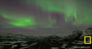 aurora borealis,sky,aurora,borealis,aurora boreal,time space