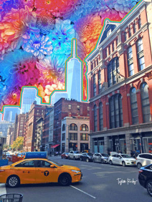 new york,new york city,cab,sky,nyc,flowers,neon,clouds,downtown,manhattan,tribeca