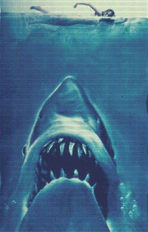 shark,jaws,movie,horror,vintage,scary,steven spielberg,great white