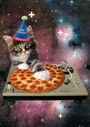 laser,dj,cat,birthday,catbe