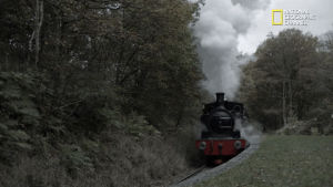 train,transportation,origins