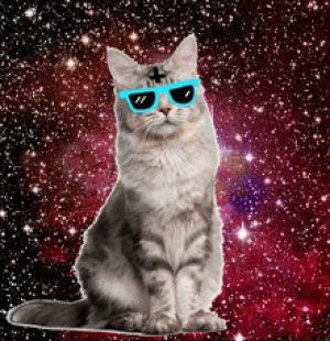 sassy,deal with it,galaxy,art,cat,indie,glasses,hipster