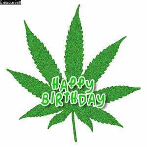 happy birthday,nature,420