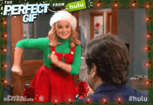 tv,television,perfect,parks and recreation,amy poehler,leslie knope,holidays,the perfect,the perfect t,holiday joy