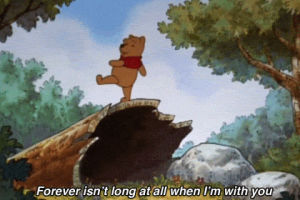 winnie the pooh,love,perfect,true,relationships,together,wonderful,wish