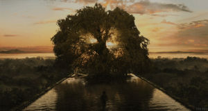 cinemagraph,the fountain,cinemagraphs,sunset,movies,film,water,hugh jackman,tech noir,tree of life,tom creo