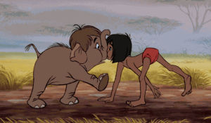 mowgli,disney,the jungle book,baby elephant,nolivia